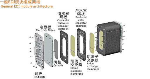 edi模块的内部结构图